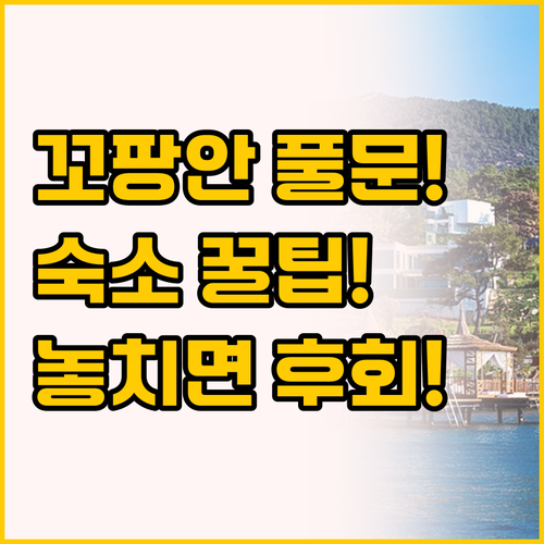 꼬팡안 풀문 파티 가는 날 절대 후회..