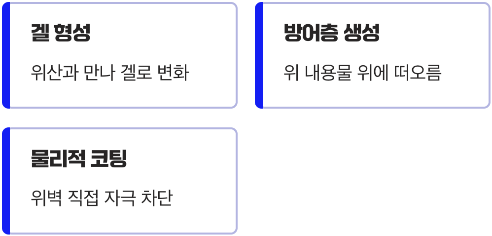어떻게 위를 보호한다는 걸까요?