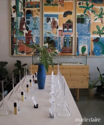 포틀랜드 쇼핑 가이드 놓치면 후회할 아이템 총정리로 체크_13