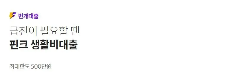 핀크 생활비대출 500만원