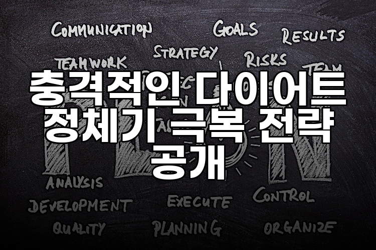 충격적인 다이어트 정체기 극복 전략 공개