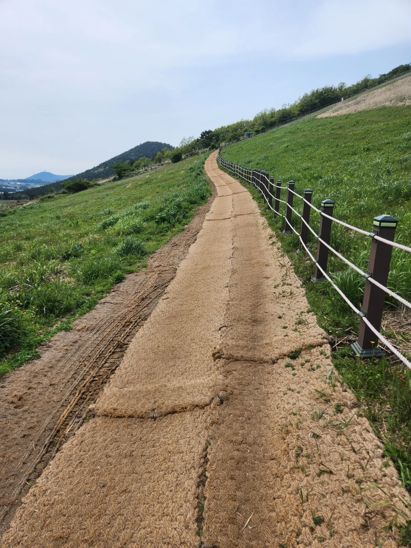 제주도-새별오름-왼쪽 1