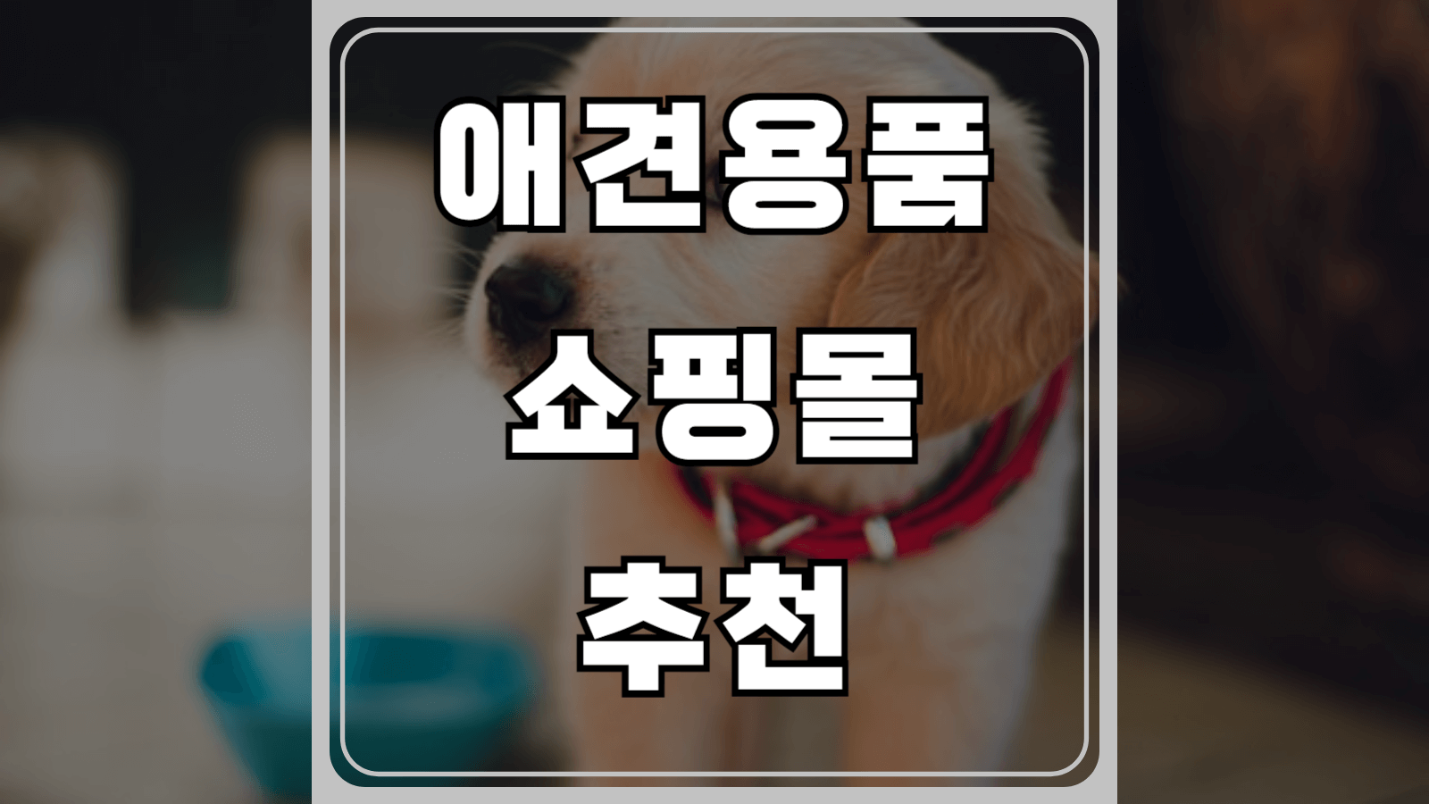 애견용품 쇼핑몰 추천