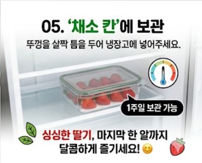 딸기보관방법