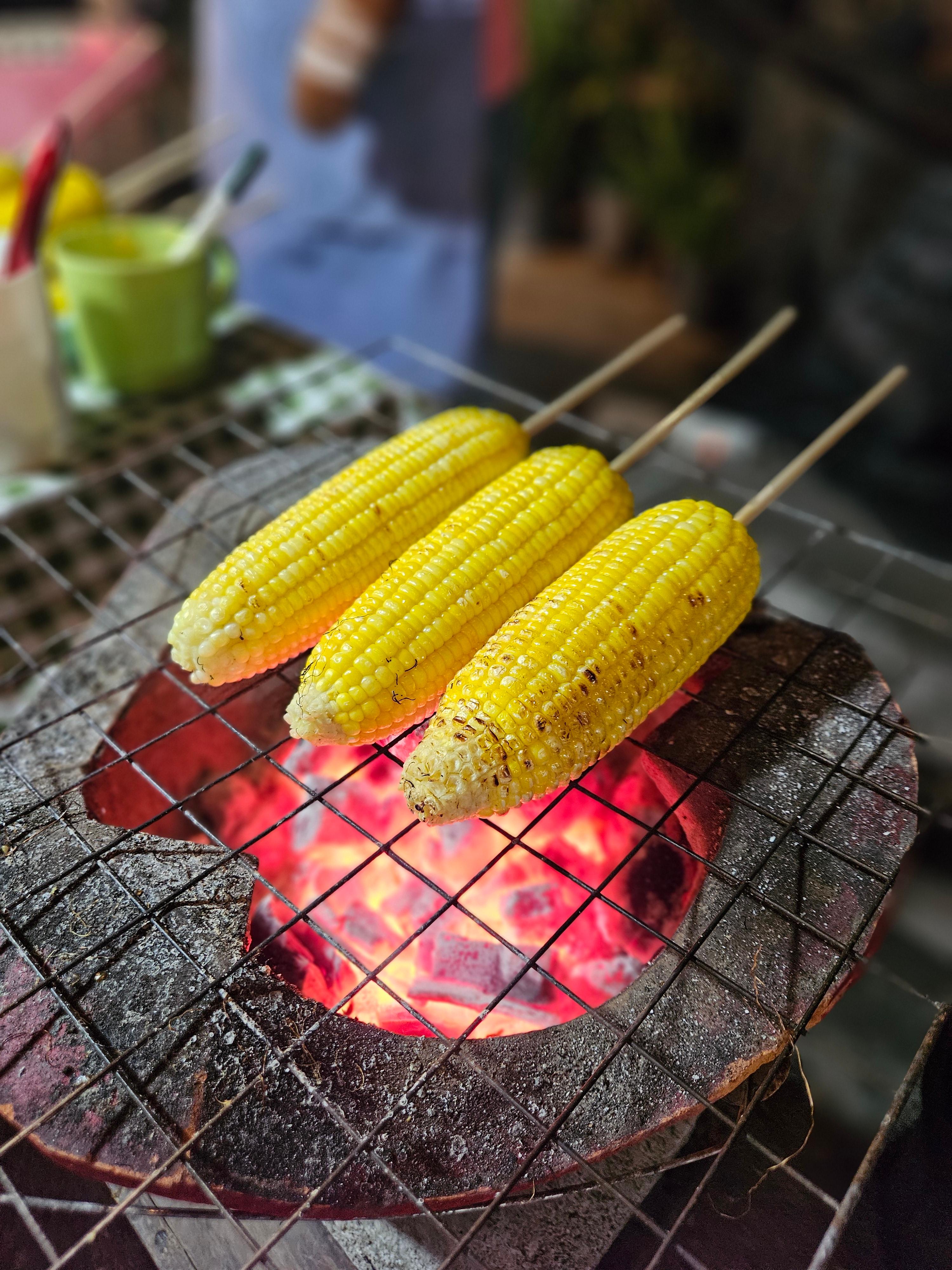 옥수수
