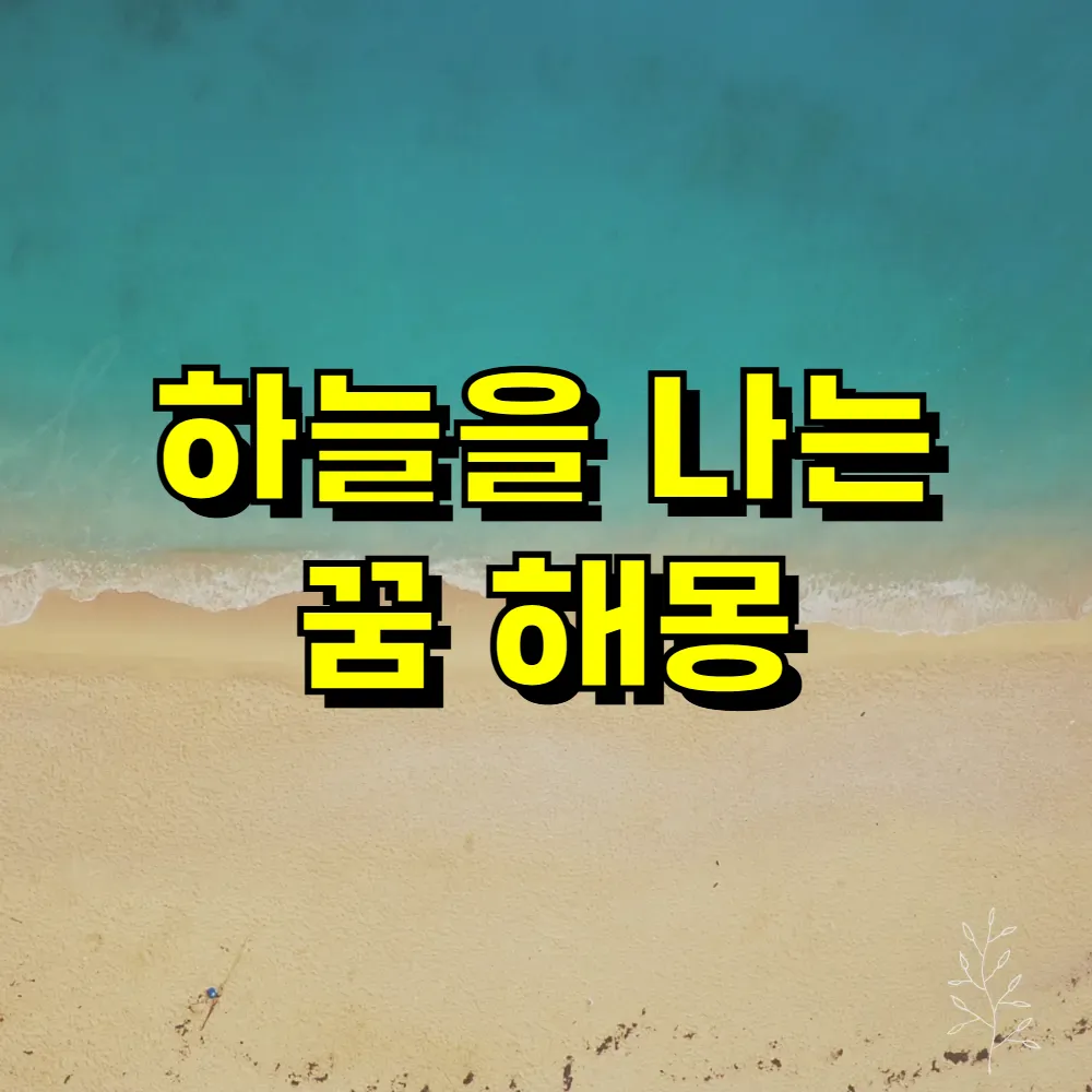 하늘을 나는 꿈 해몽