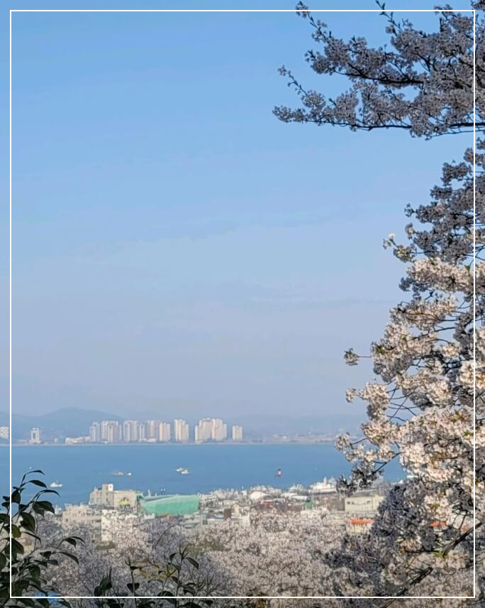 군산 가볼만한곳 베스트10 월명공원