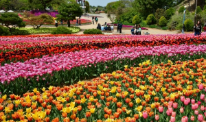 5월에 방문하는 축제 BEST 7