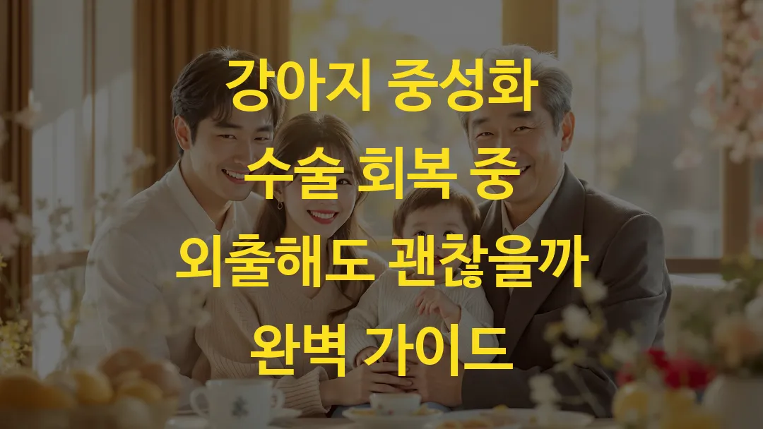 강아지 중성화 수술 회복 중 외출해도 괜찮을까 완벽 가이드