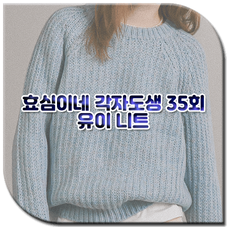 효심이네 각자도생 35회 유이 니트