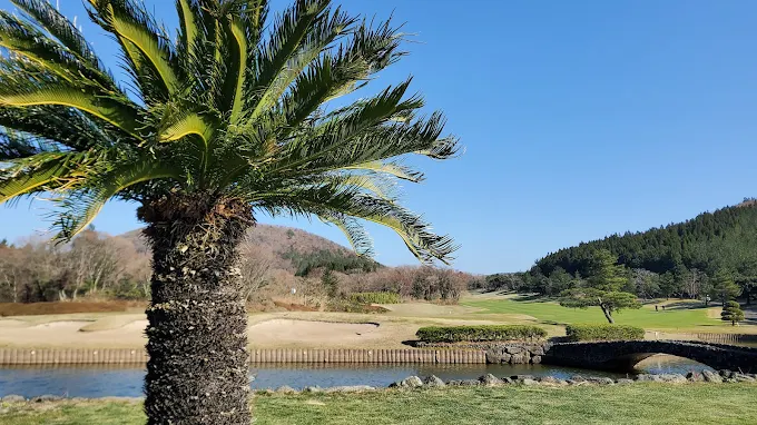 제주 타미우스CC 골프장 소개 및 예약방법