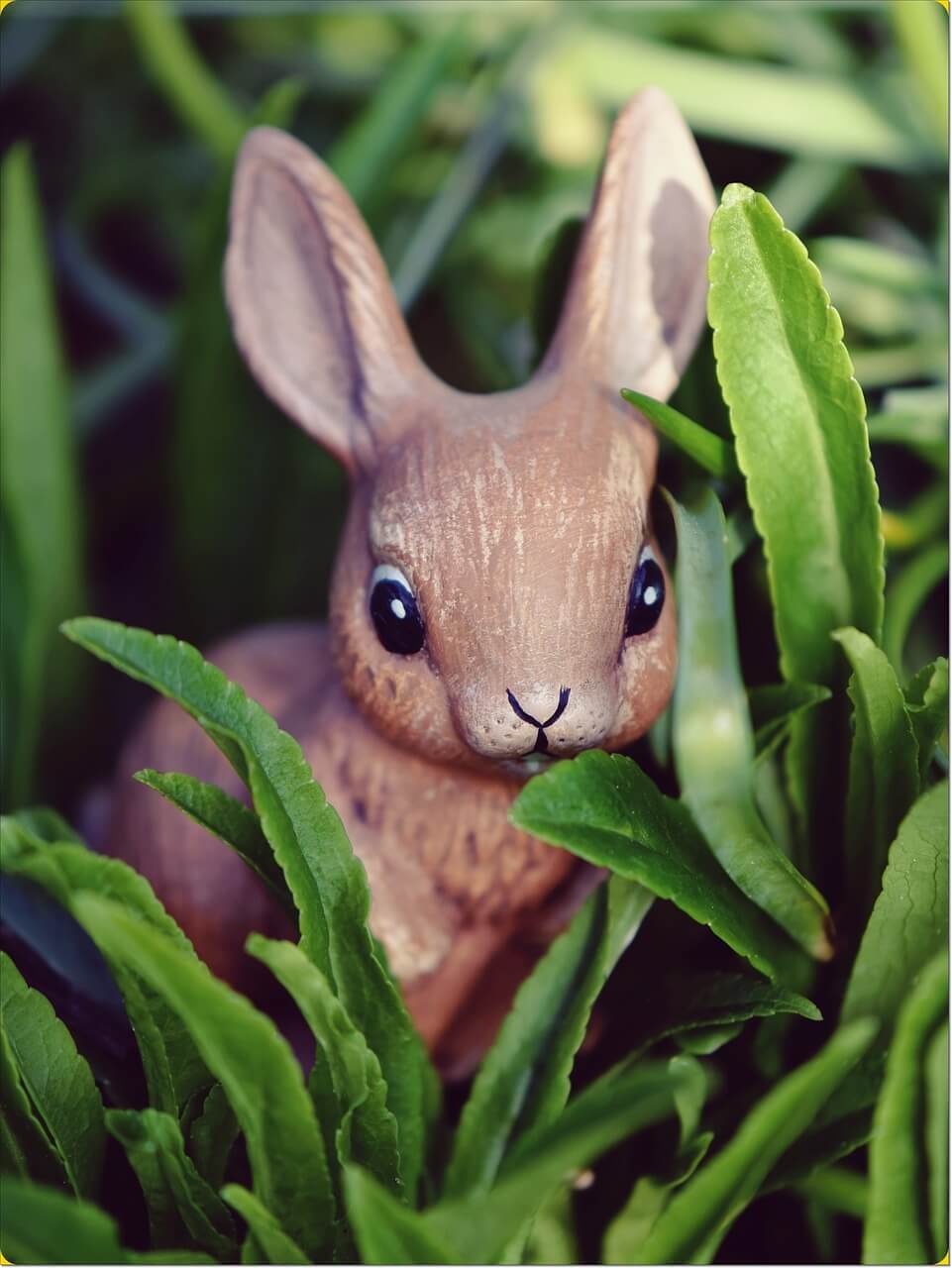 2024년 신년운세 토끼띠 2월 쫌 즐길께~