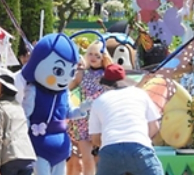 2025 함평나비대축제 완벽 가이드