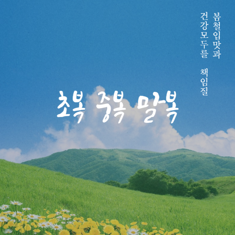 초복 중복 말복