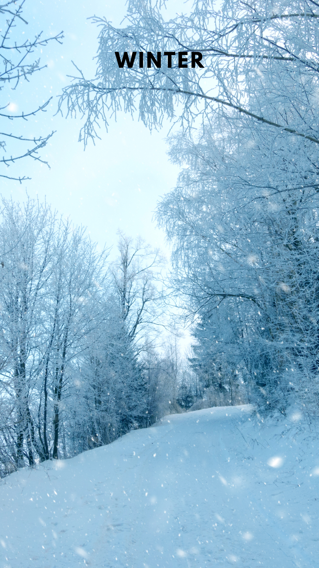 겨울 배경화면 하기 좋은 사진 고화질 눈 배경화면 이미지 그림