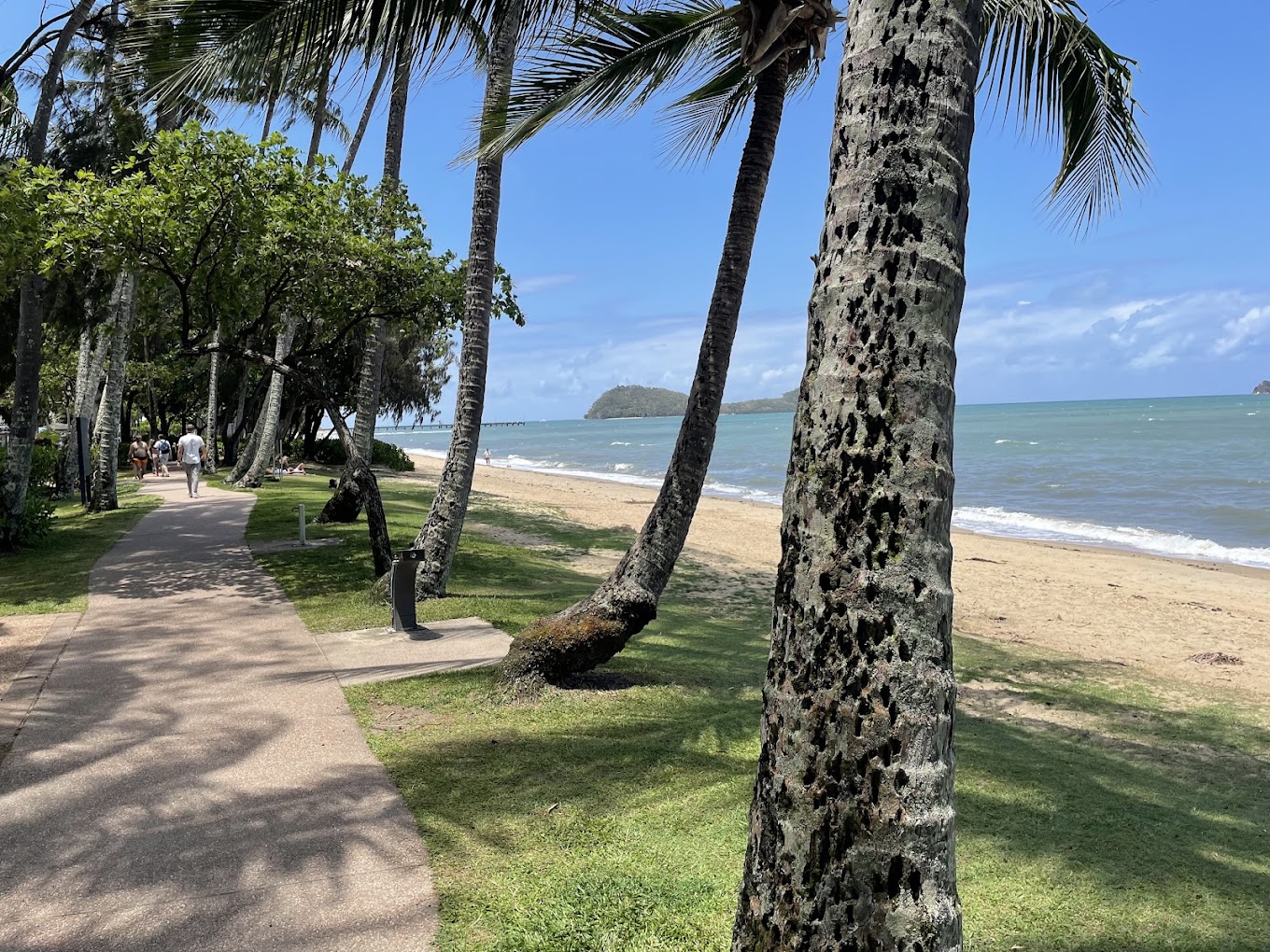 케언즈 여행 관련사진