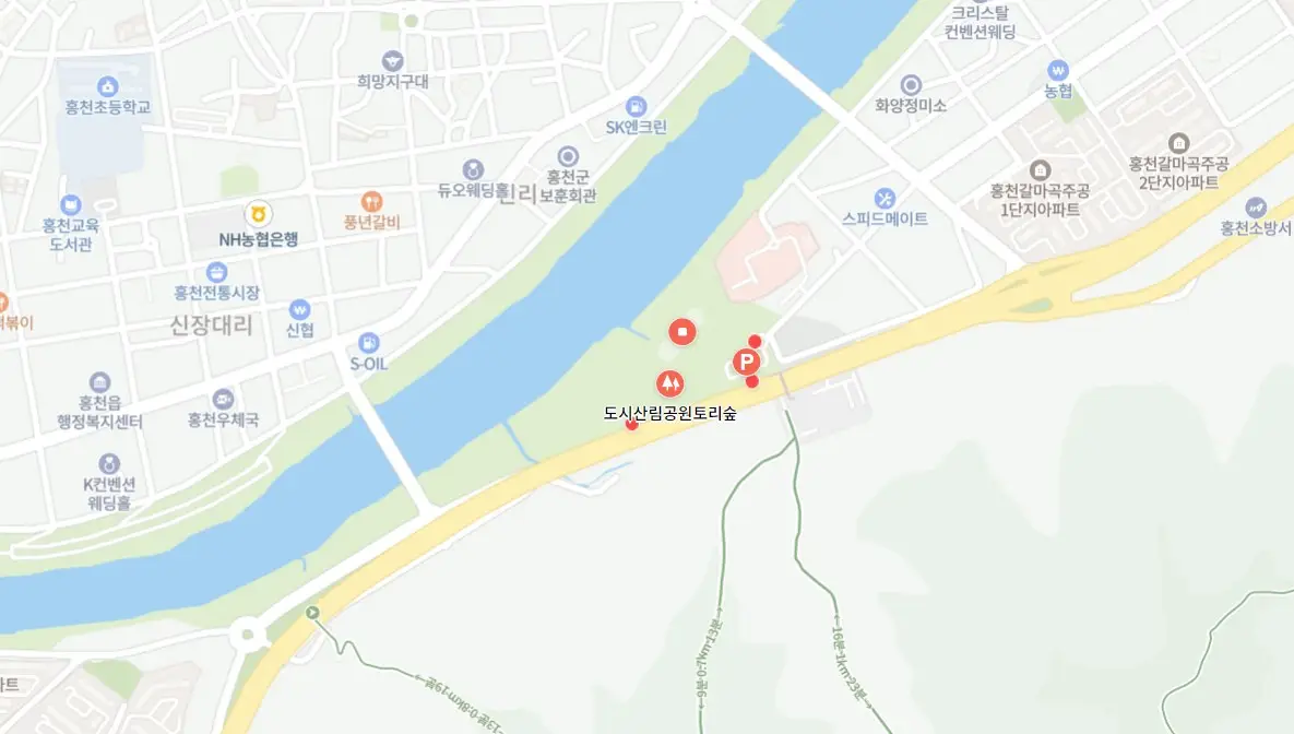 홍천강 별빛음악 맥주축제