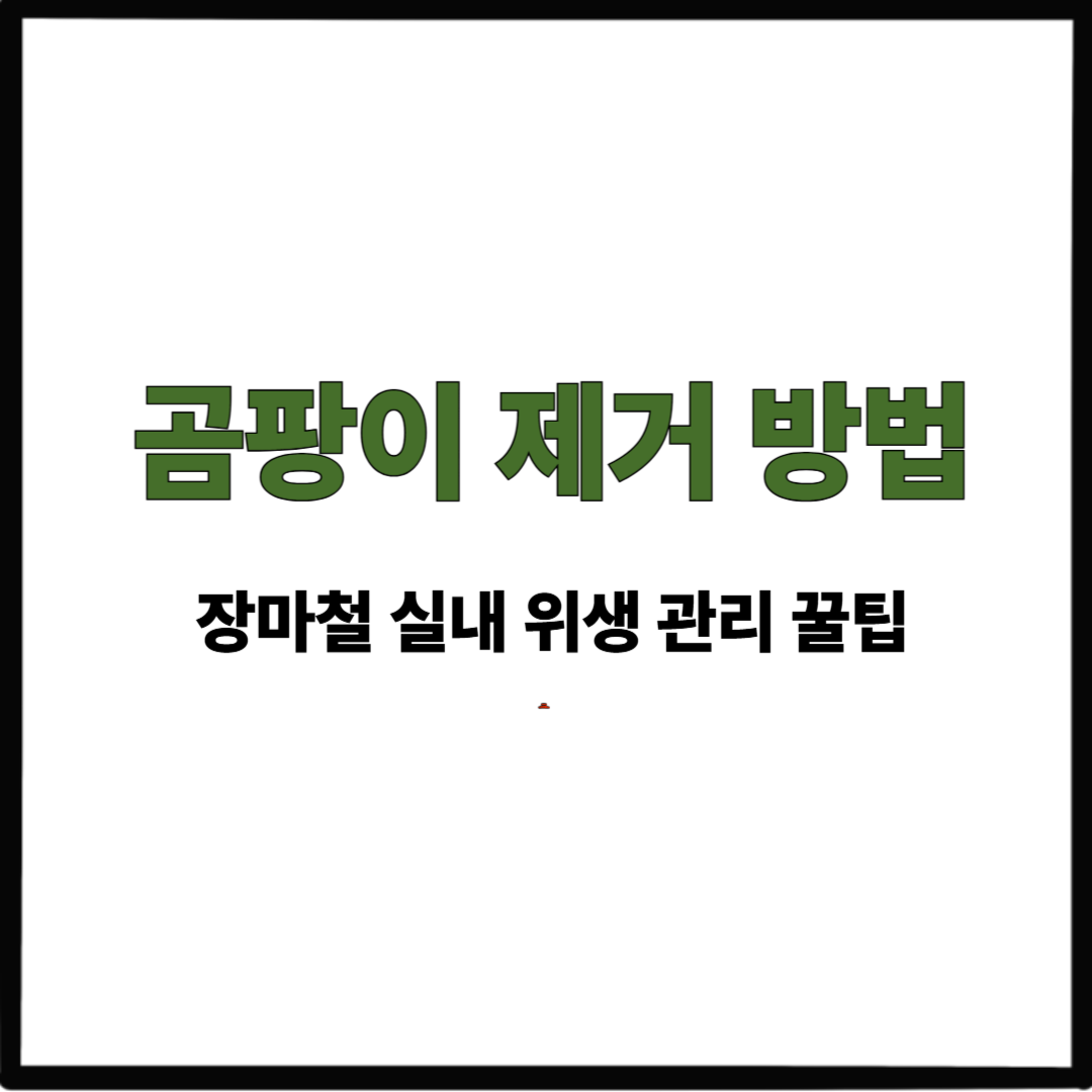 곰팡이 제거 방법｜장마철 실내 위생 관리 꿀팁