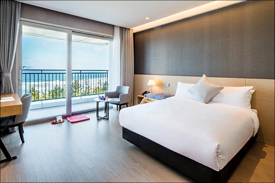 펫캉스 호텔 추천 5 : 반려동물과 함께 하는 휴가