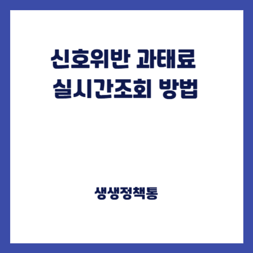 신호위반 과태료 실시간조회 방법