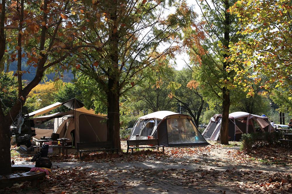 상의자동차야영장. 경상북도 청송군 주왕산면 상의리 368