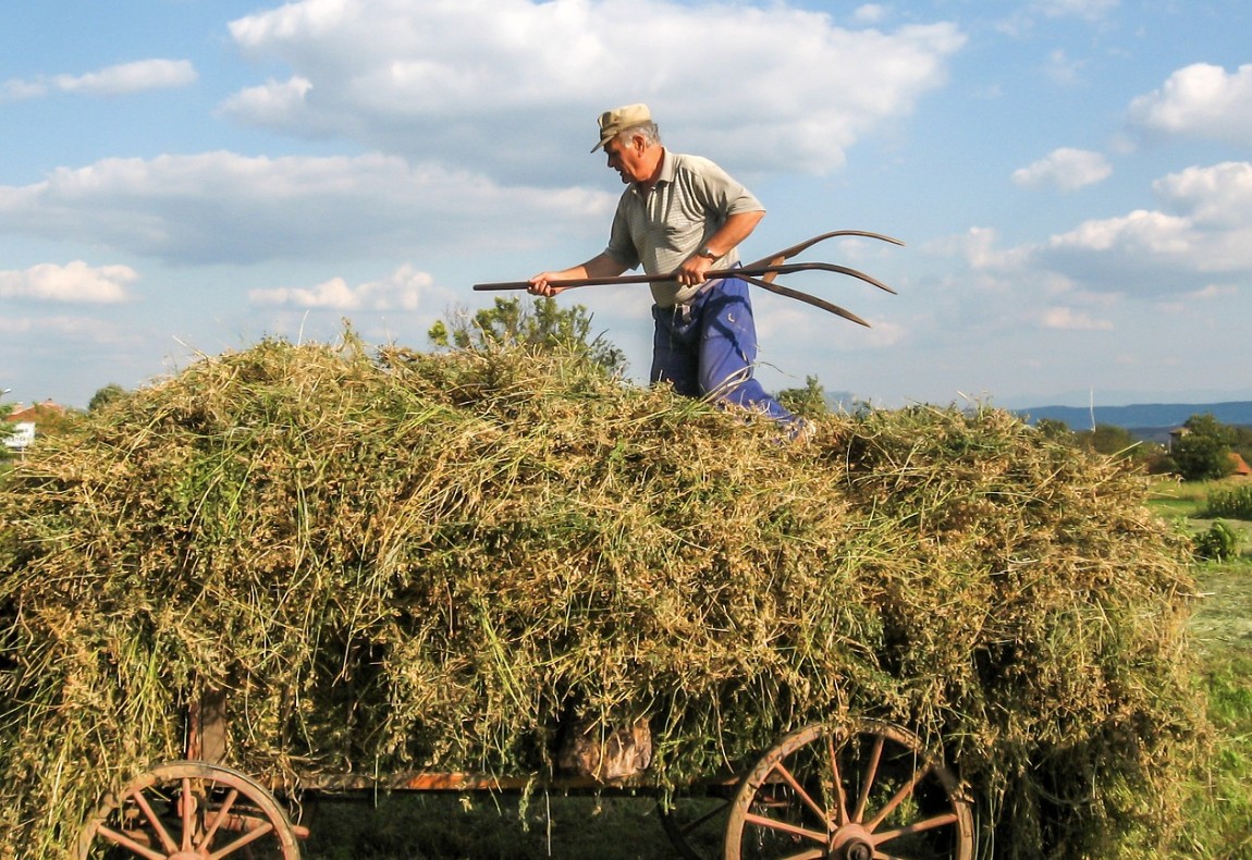 워킹홀리데이 vs 정규 유학, 어떤 선택이 좋을까 관련 사진