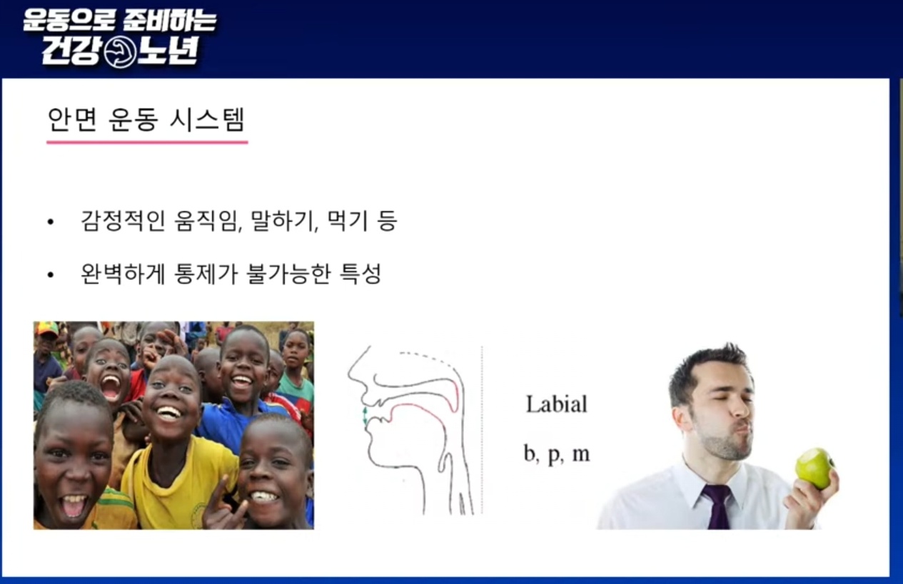 안면운동시스템-김진교수