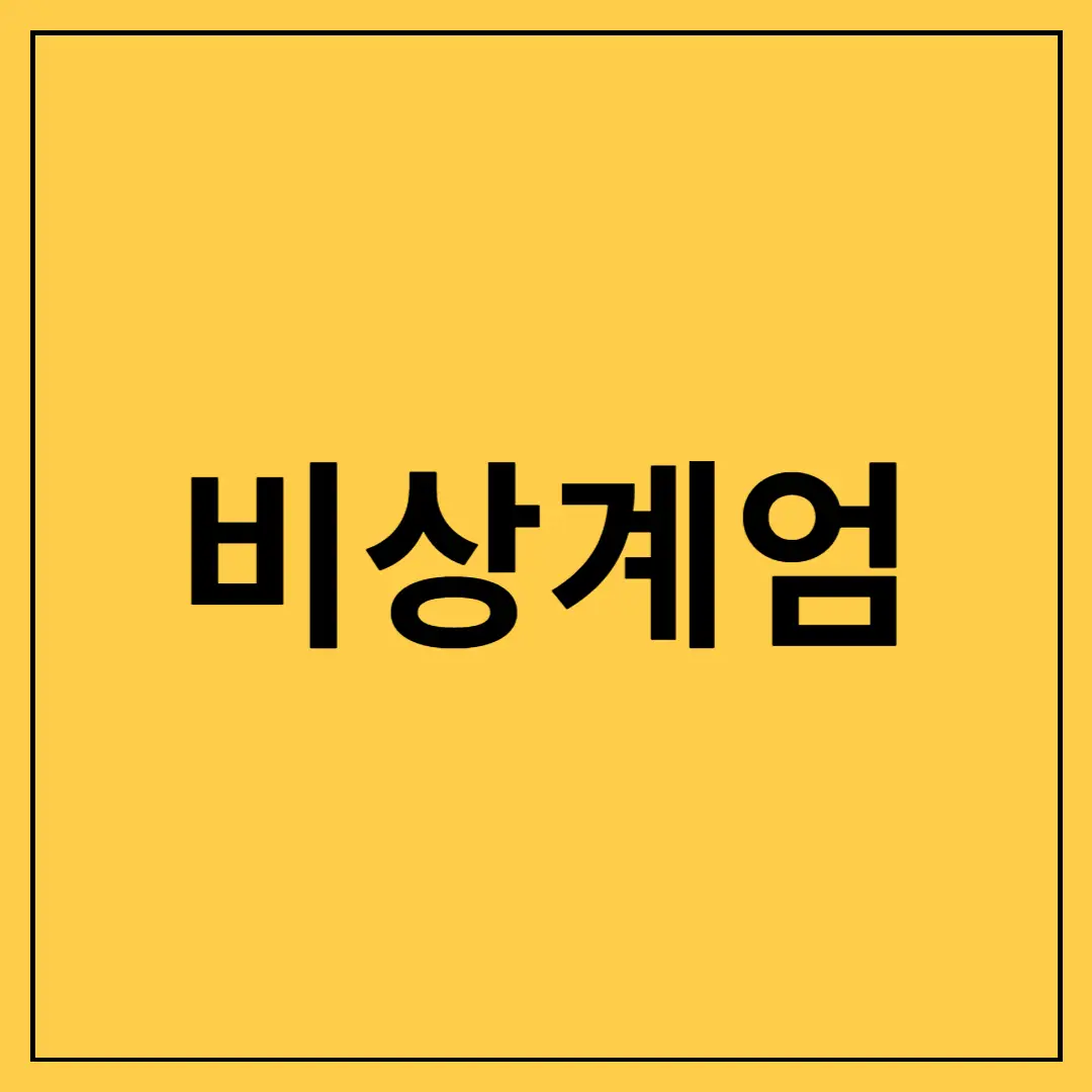 비상계엄,-법적 근거,-선포-절차-및-해제,-사회적 영향