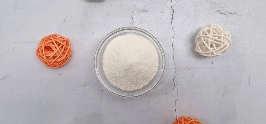 덴마크 유산균 분말