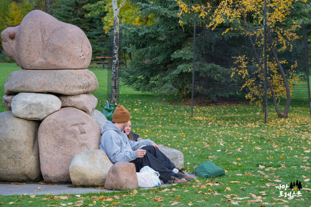 밴프 공원 데이트