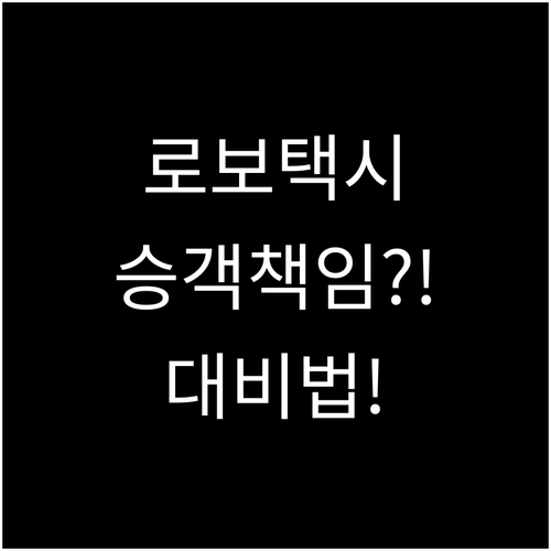 로보택시 사고 시 승객 책임과 대비 ..