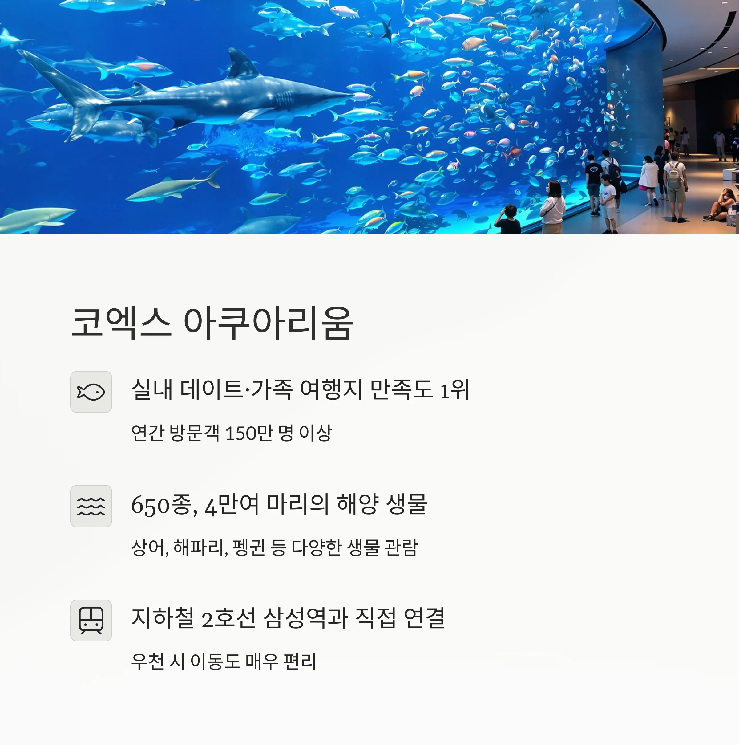 비 오는 날 더 빛나는 서울 여행지
