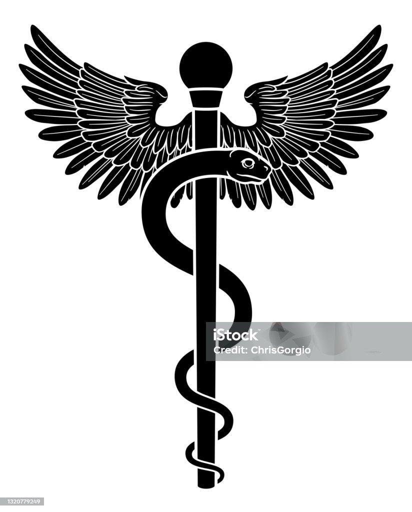 치료의 지팡이 사진