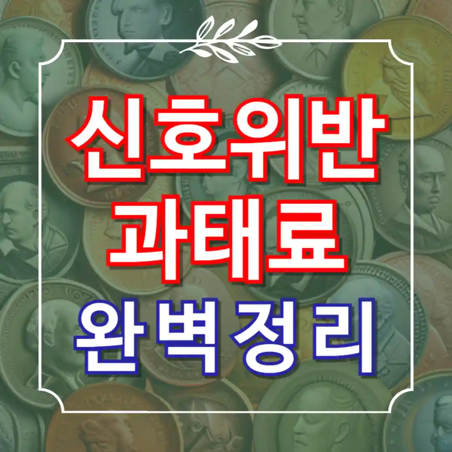 신호위반 과태료