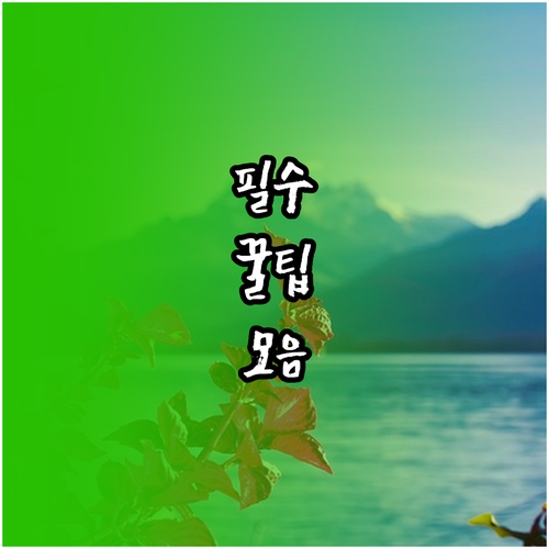 우편물 걱정 끝 정부24 주소 변경 ..