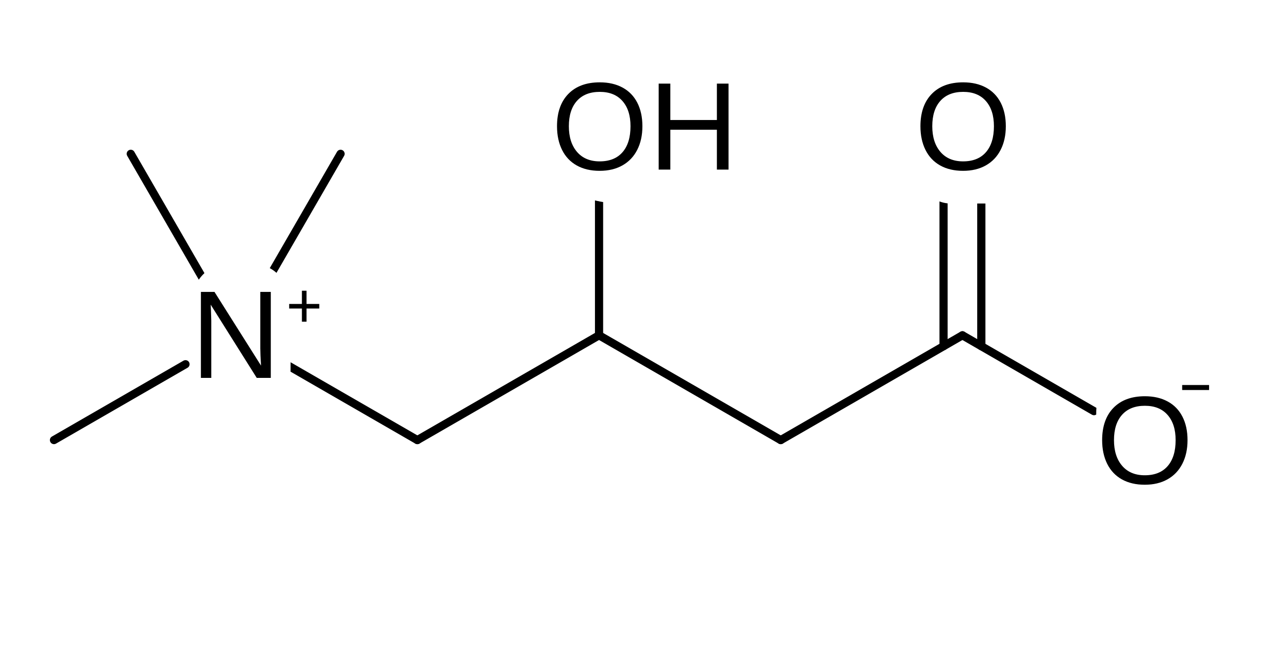 L-카르니틴