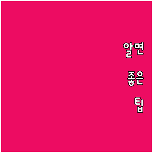 내 반려동물 2025 영월군 등록 시..