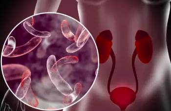 방광염 증상 및 치료법&amp;#44; 원인과 예방법