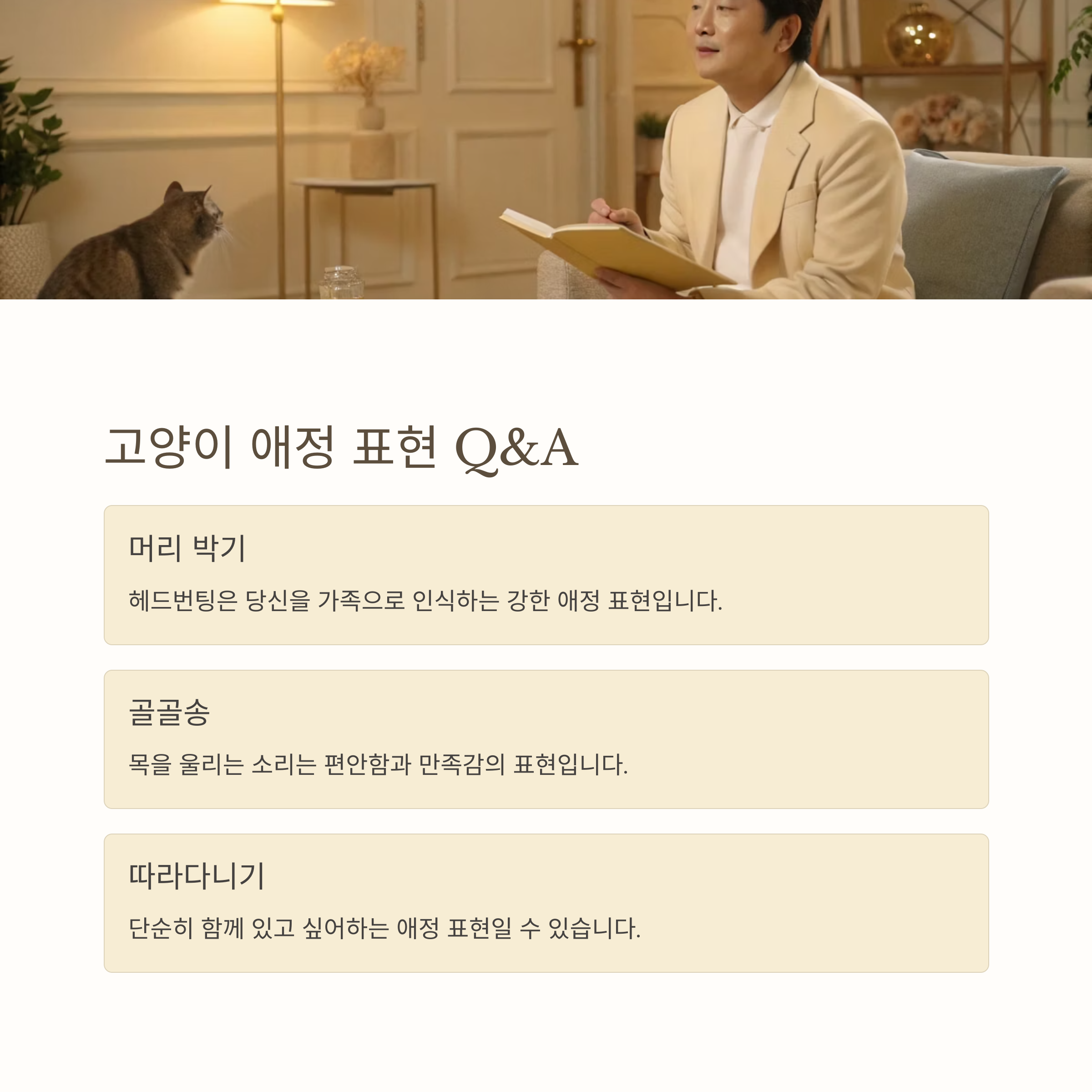 고양이 애정 표현 Q&amp;A