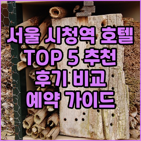 서울 시청역 근처 호텔 예약 가이드.