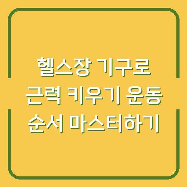 헬스장 기구로 근력 키우기 운동 순서 마스터하기