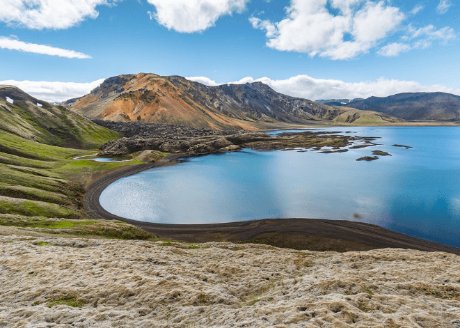 1년차 연차 개수 계산기 연차수당