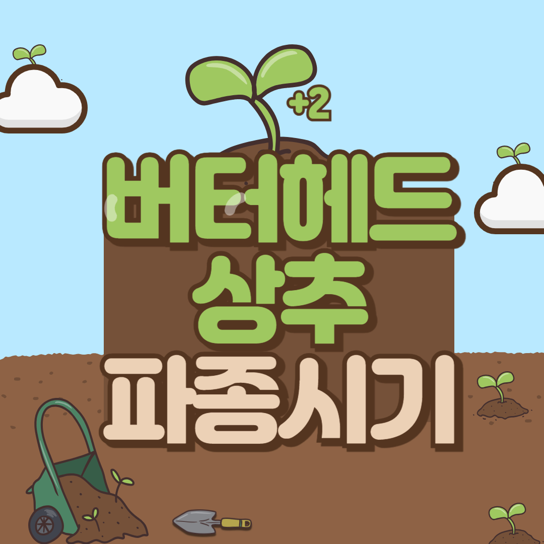 버터헤드 상추 파종시기
