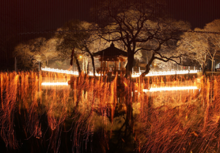 2025 함안 낙화놀이 예약 꿀팁+예매 링크까지 한 번에 정리(+어린이날 여행&amp;#44; 선착순!)