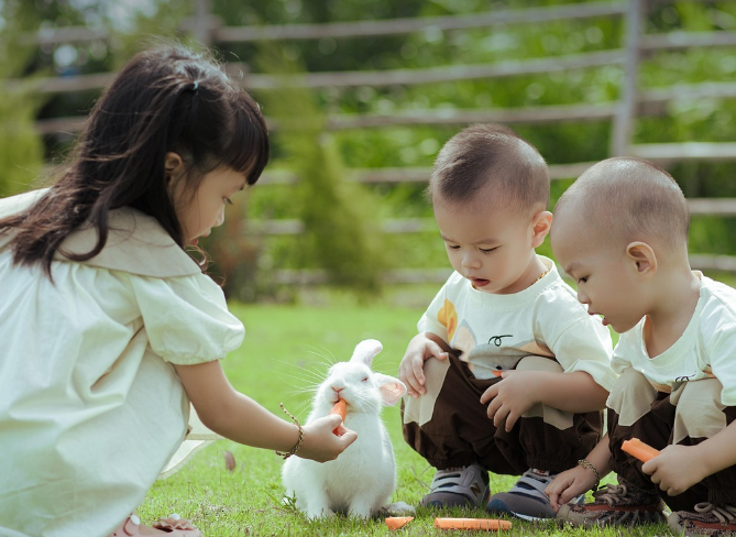 아이와 체험 학습 가능한 6월 여행지(전통, 과학,역사)