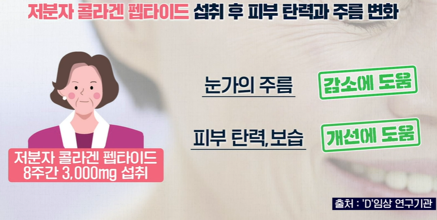 저분자 콜라겐 펩타이드 효능