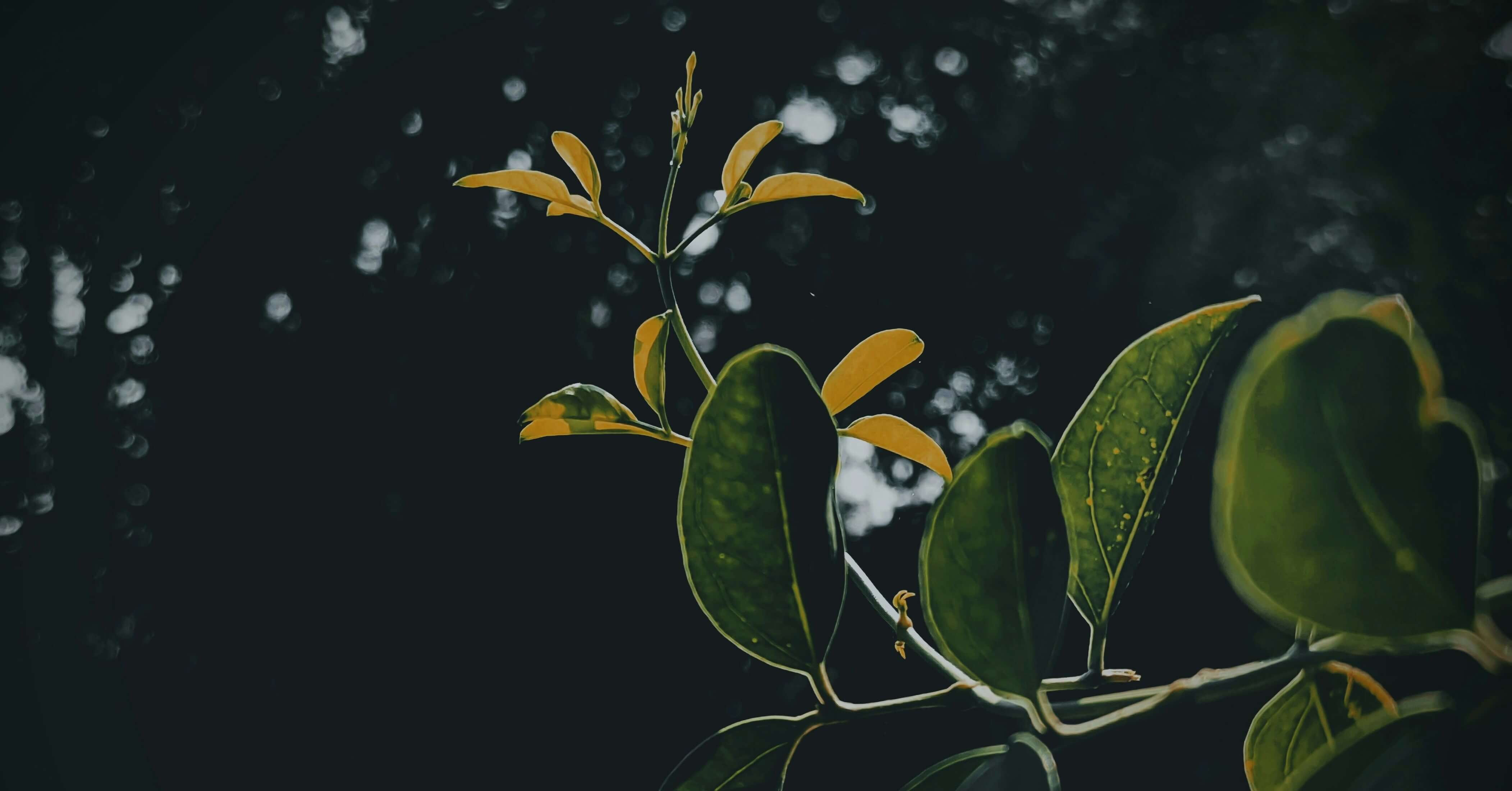 당신 MBTI, 알고보면 이런 사람이다?