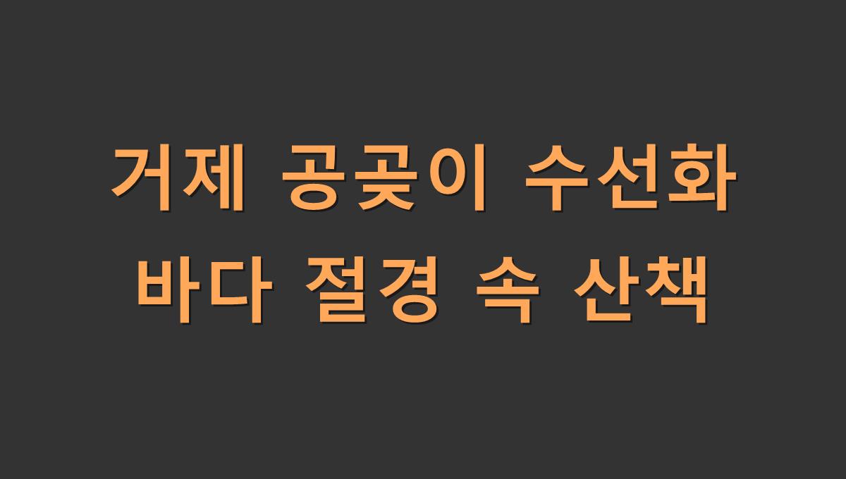 거제 공곶이 수선화 바다 절경 속 산책