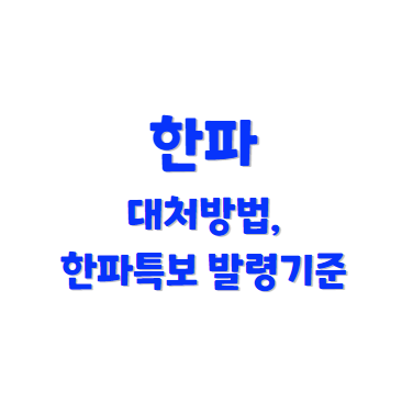 한파대처방법