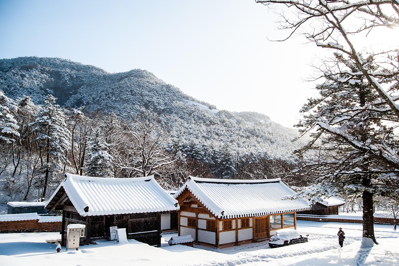 전통 건축의 미학과 현대 건축 기술의 만남